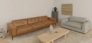 First Image